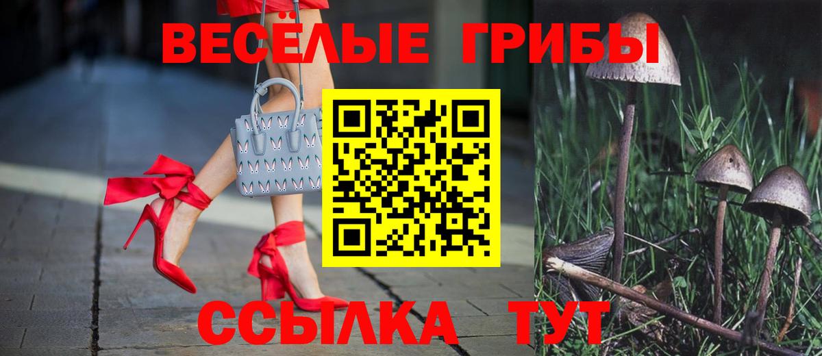 Морозовск  Псилоцибиновые грибы Psilocybe  Псилоцибиновые грибы Psilocybe  Вход с VPN 